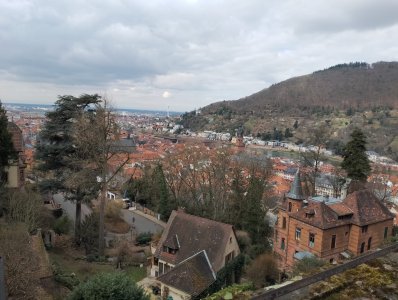 Wymiana Alzey